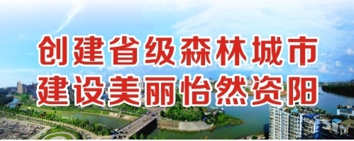 日本操女人的B视频动漫创建省级森林城市 建设美丽怡然资阳