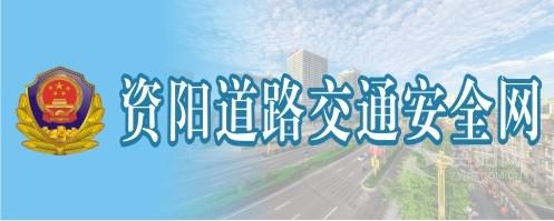 屄插资阳道路交通安全网